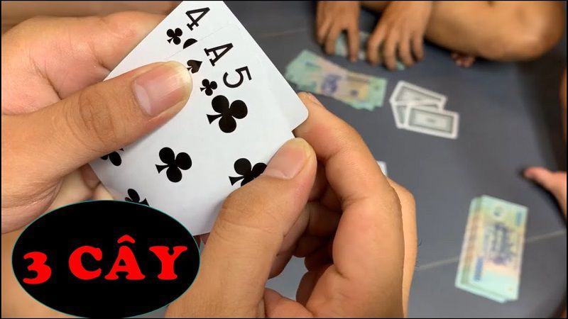 Bí Quyết Giữ Chương Hiệu Quả Và Tối Ưu Hóa Dòng Tiền Từ Cao Thủ